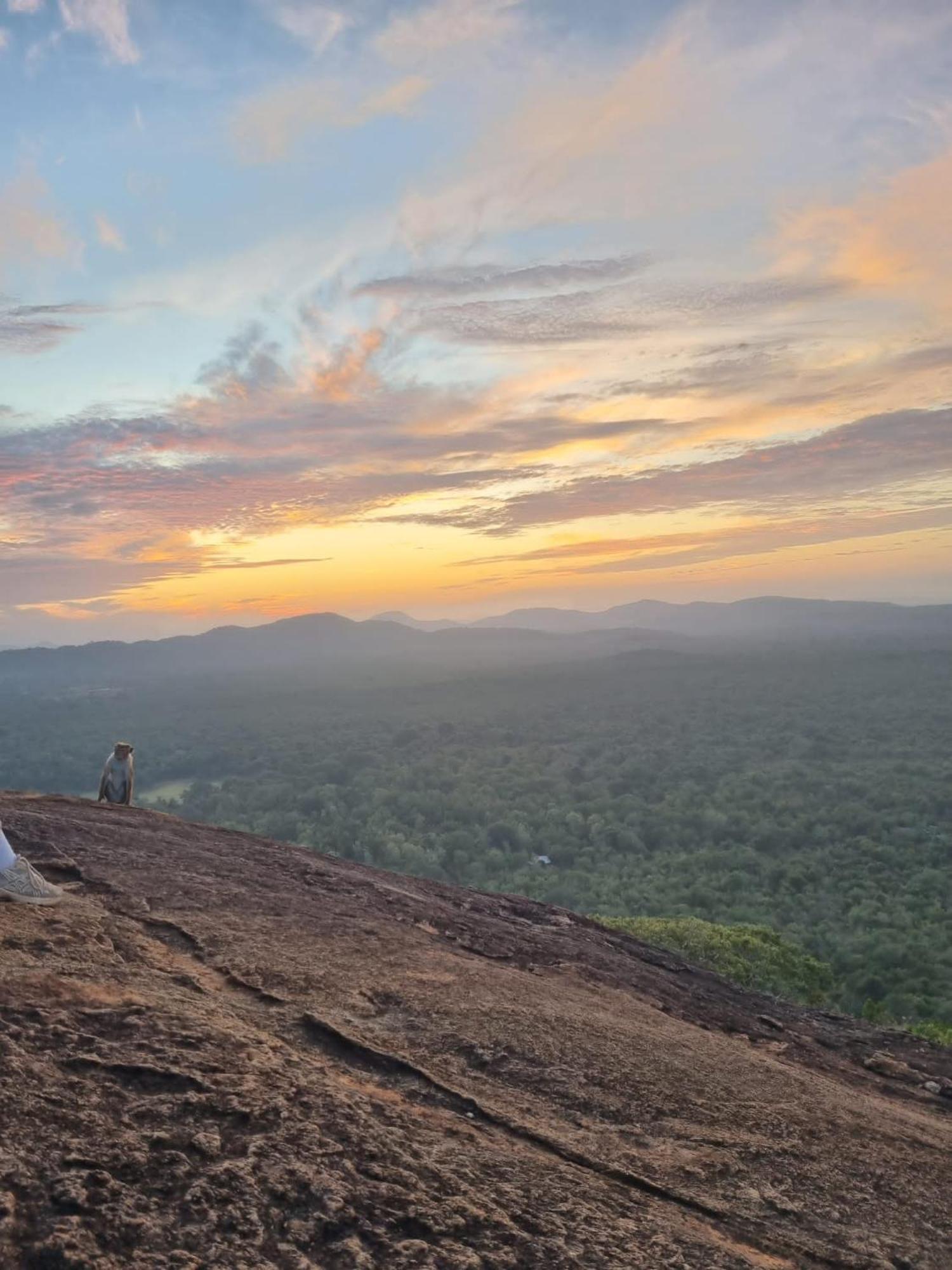 Sunrise Cottage Sigiriya Exteriér fotografie