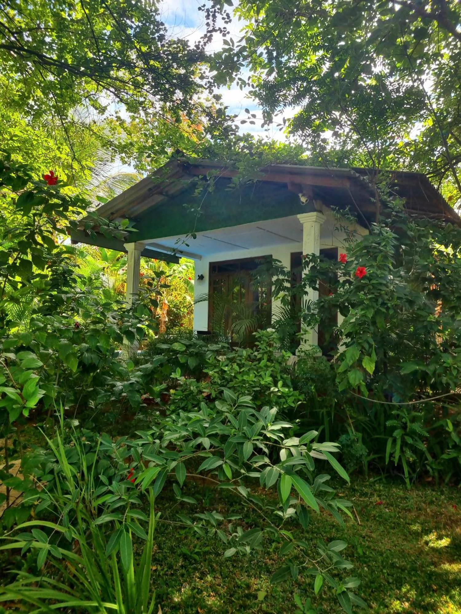 Sunrise Cottage Sigiriya Exteriér fotografie